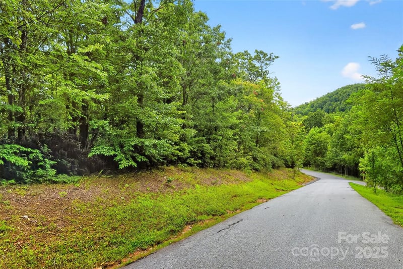 1696 Catawba Falls Pw #190, Black Mountain, NC 28711