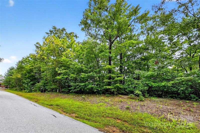 1696 Catawba Falls Pw #190, Black Mountain, NC 28711