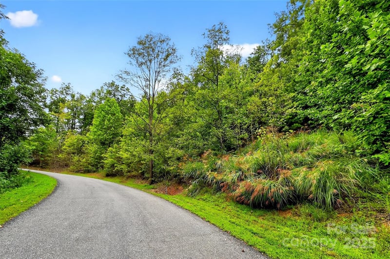 1696 Catawba Falls Pw #190, Black Mountain, NC 28711