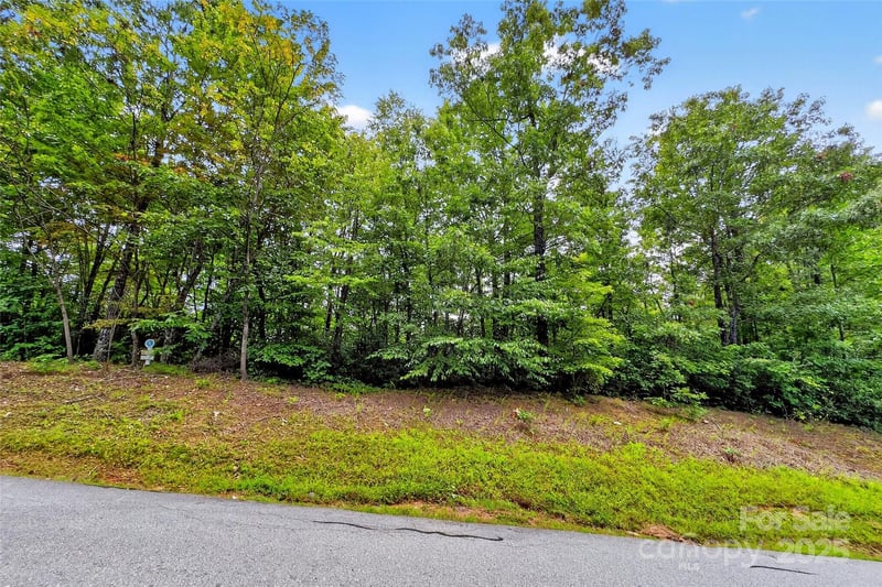 1696 Catawba Falls Pw #190, Black Mountain, NC 28711