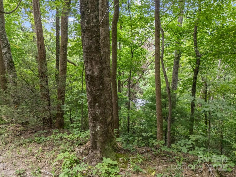 00 Mistletoe Pk, Lake Lure, NC 28746