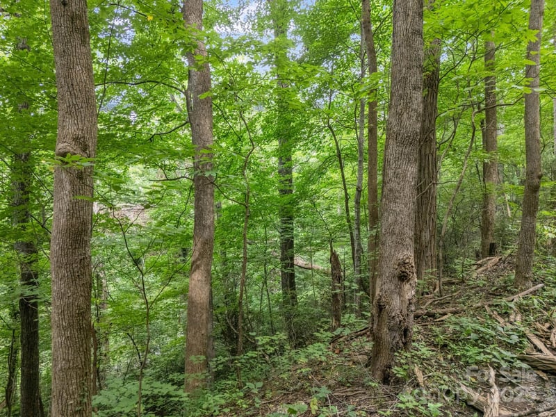 00 Mistletoe Pk, Lake Lure, NC 28746