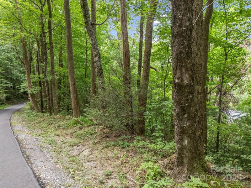 00 Mistletoe Pk, Lake Lure, NC 28746