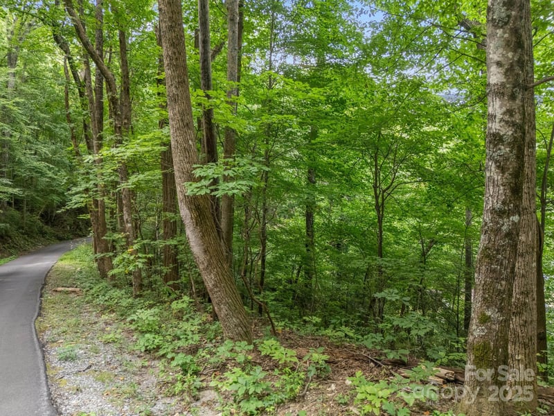 00 Mistletoe Pk, Lake Lure, NC 28746