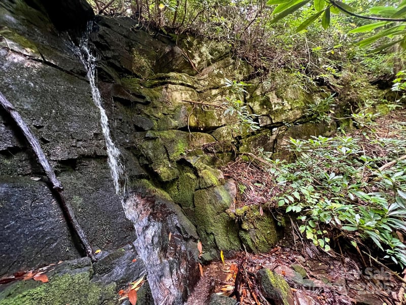 Lot 11 Silver Maple Trl, Brevard, NC 28712