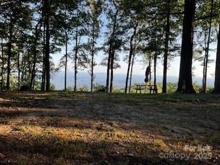 00 Mackerel Mountain Rd, Zirconia, NC 28790
