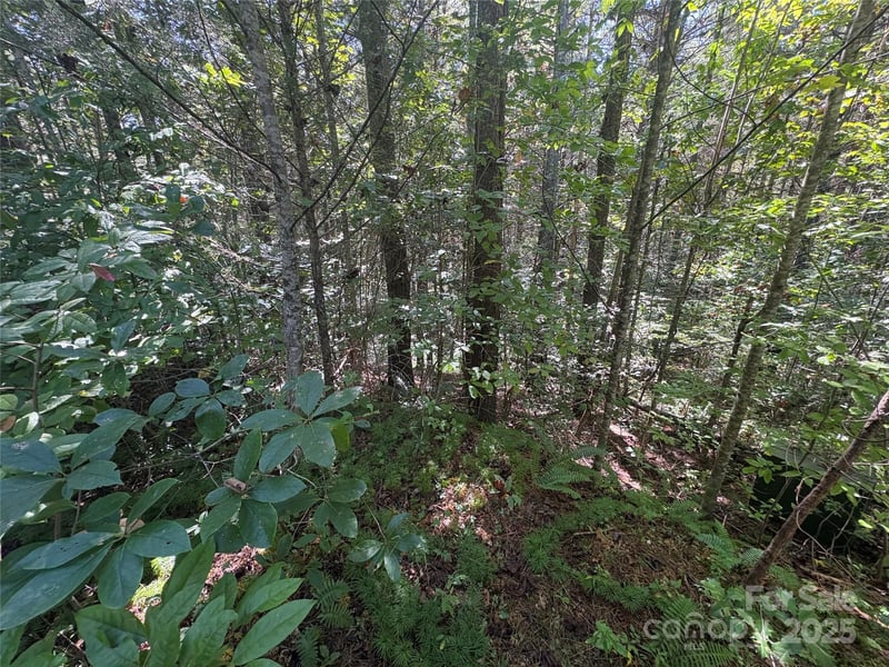 000 National Forest Dr, Lenoir, NC 28645