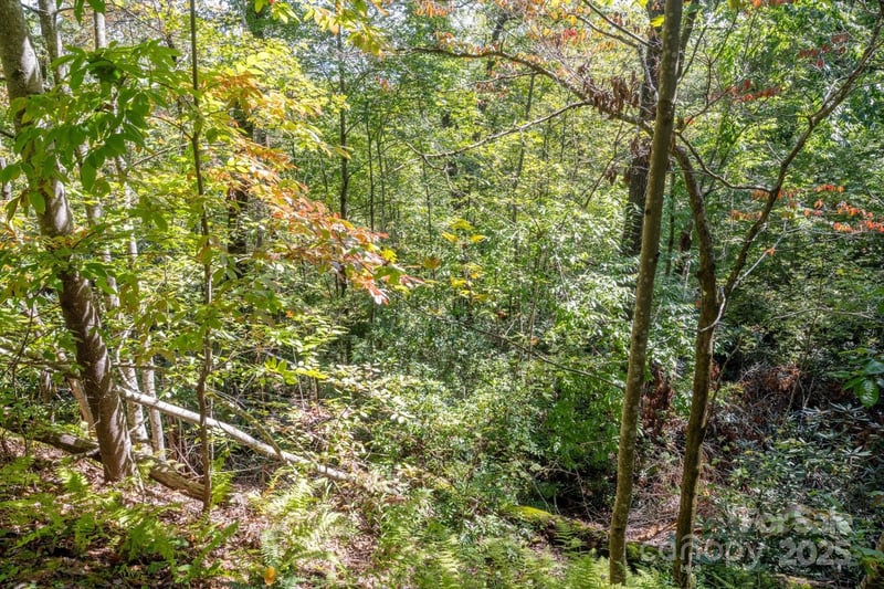 TBD Pine Mountain Trl #M79, Brevard, NC 28712