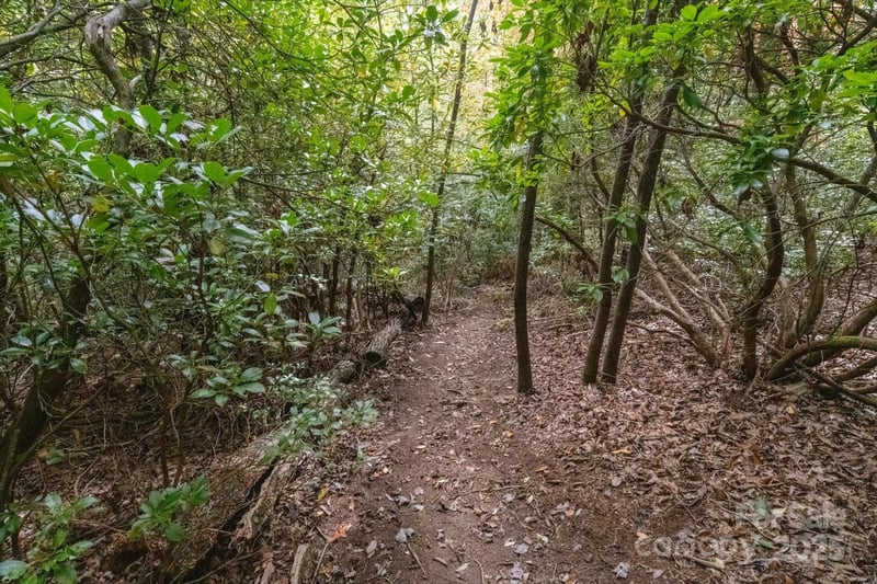 TBD Pine Mountain Trl #M79, Brevard, NC 28712
