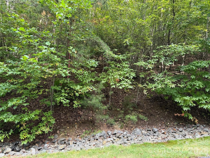 1029 Chippawa Dr #67, Arden, NC 28704