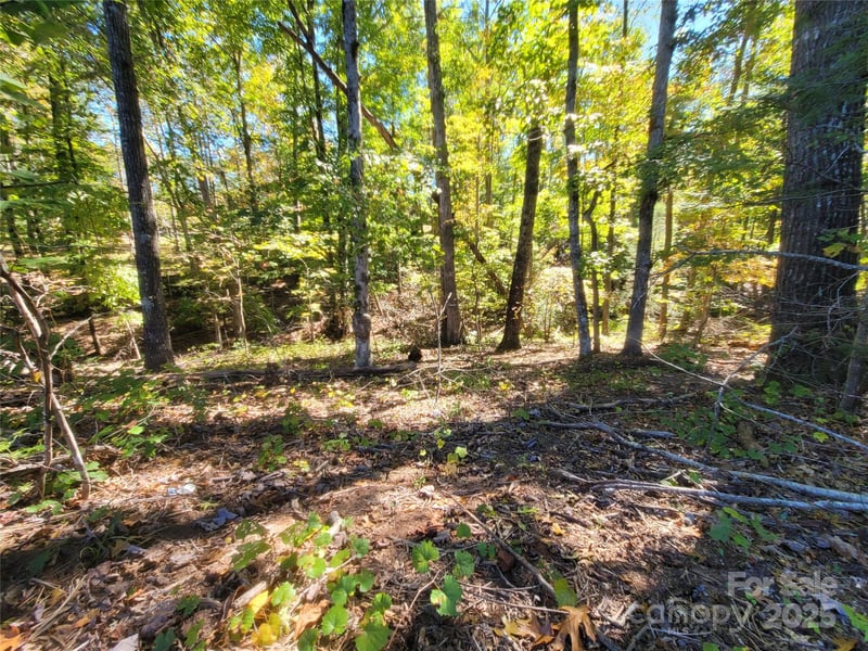Horse Creek Dr #14, Mill Spring, NC 28756