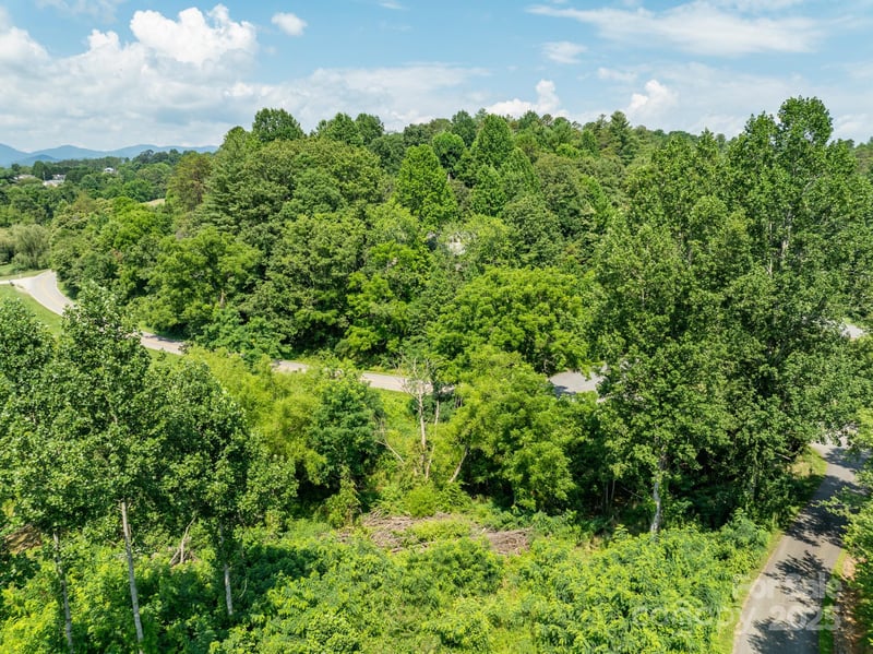 52 Goughes Branch Rd, Leicester, NC 28748