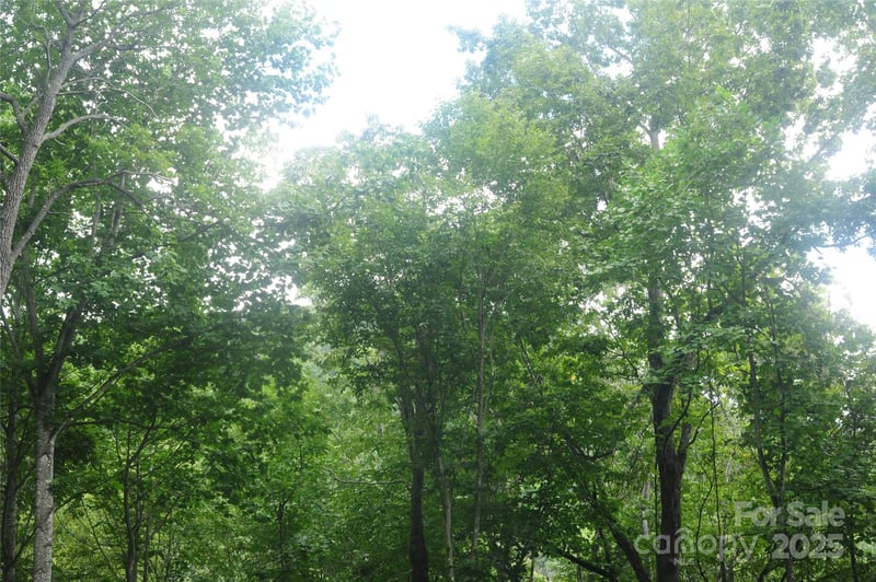 9 Wood Haven Ln #108, Black Mountain, NC 28711