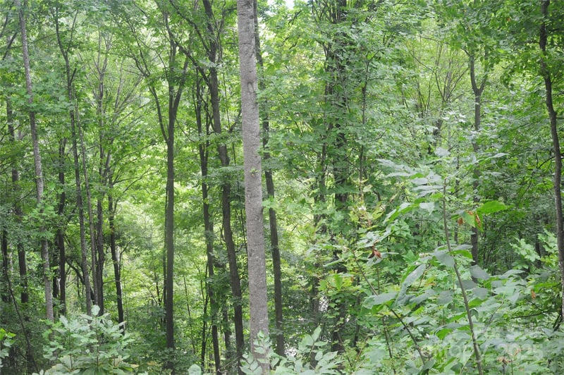 9 Wood Haven Ln #108, Black Mountain, NC 28711