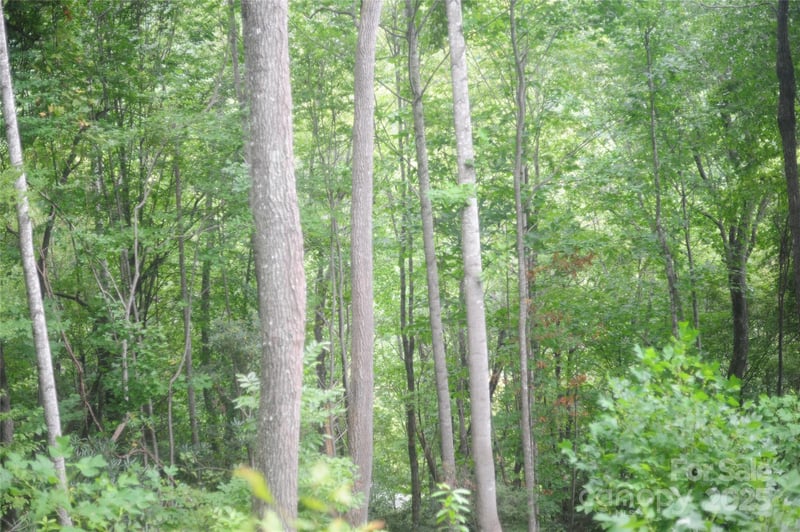 9 Wood Haven Ln #108, Black Mountain, NC 28711