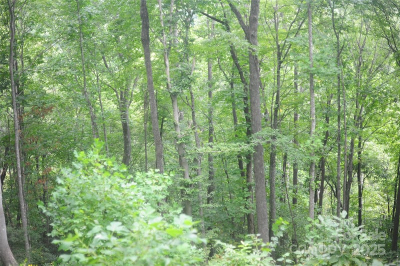 9 Wood Haven Ln #108, Black Mountain, NC 28711