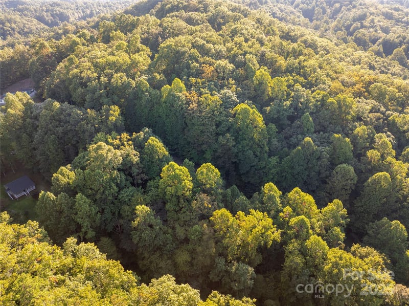 Lot 8 Madison Ln, Robbinsville, NC 28771
