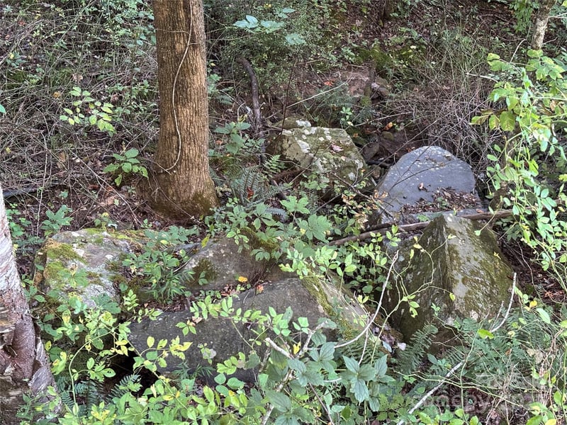 Lot 8 Madison Ln, Robbinsville, NC 28771