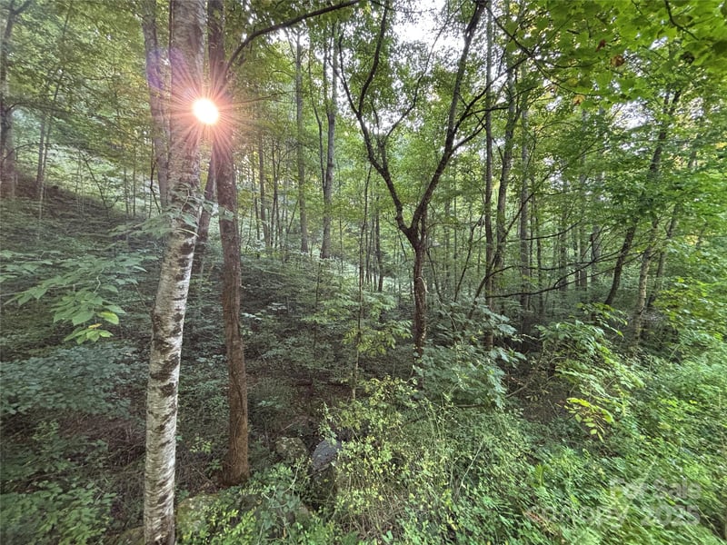 Lot 8 Madison Ln, Robbinsville, NC 28771