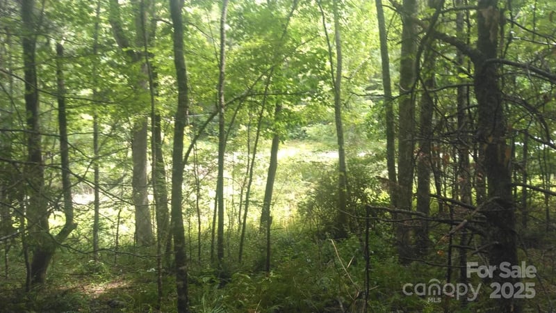 7360 Nc 183 Hw, Newland, NC 28657