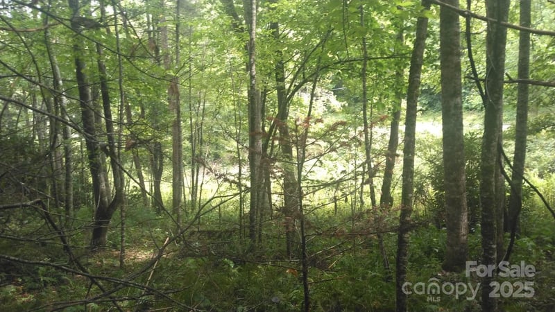7360 Nc 183 Hw, Newland, NC 28657