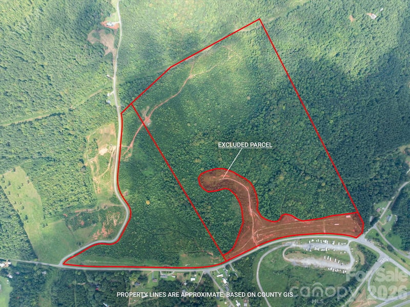 TBD Pea Ridge Rd, Mill Spring, NC 28756