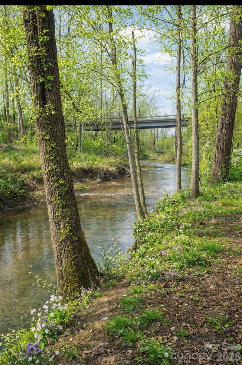 91 Old Mill Ln, Weaverville, NC 28787