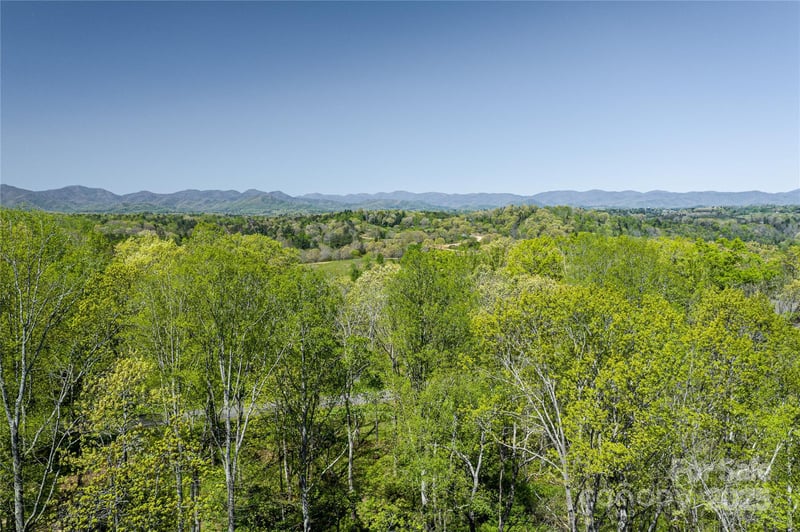 9999 Bee Balm Way #55, Asheville, NC 28804