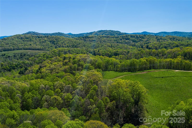 9999 Bee Balm Way #55, Asheville, NC 28804