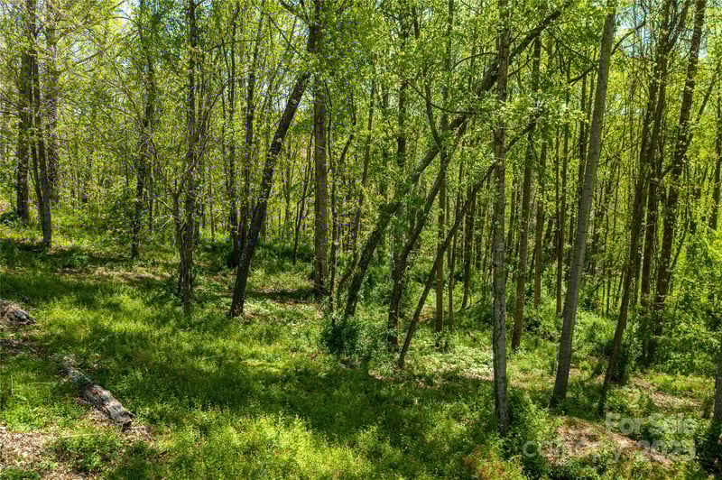 9999 Bee Balm Way #55, Asheville, NC 28804