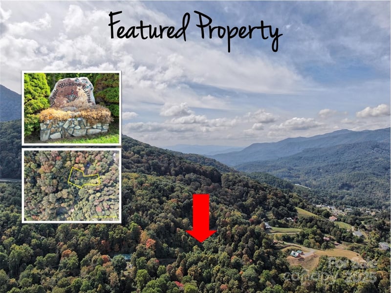 00 Ellenberger Dr #401, Waynesville, NC 28786