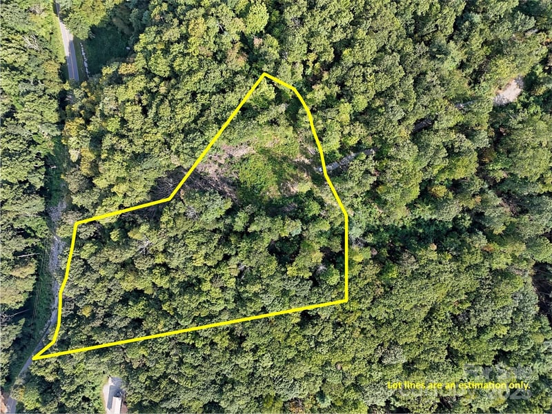 00 Bell Mountain Rd, Zirconia, NC 28790