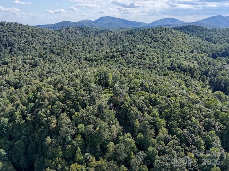 00 Bell Mountain Rd, Zirconia, NC 28790