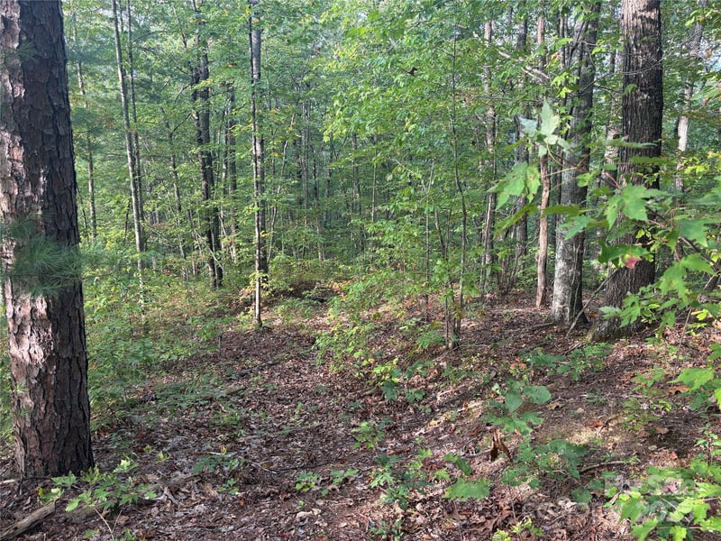 Lot 7 Madison Ln, Robbinsville, NC 28771
