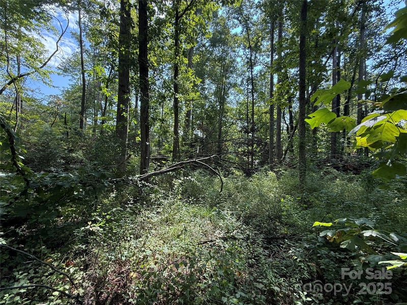 256 Burge Mountain Rd, Hendersonville, NC 28792