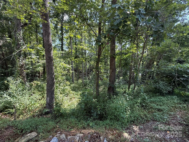 256 Burge Mountain Rd, Hendersonville, NC 28792