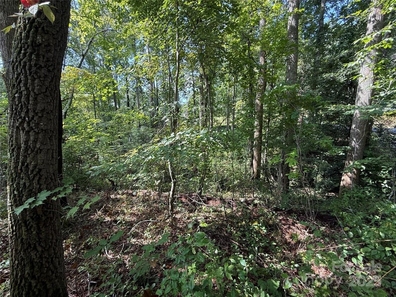 256 Burge Mountain Rd, Hendersonville, NC 28792