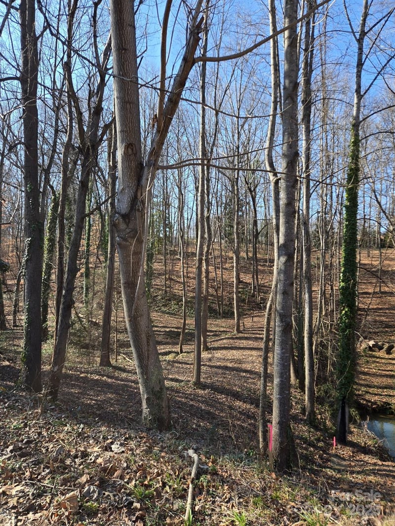 000 Spring Valley Ln, Statesville, NC 28677