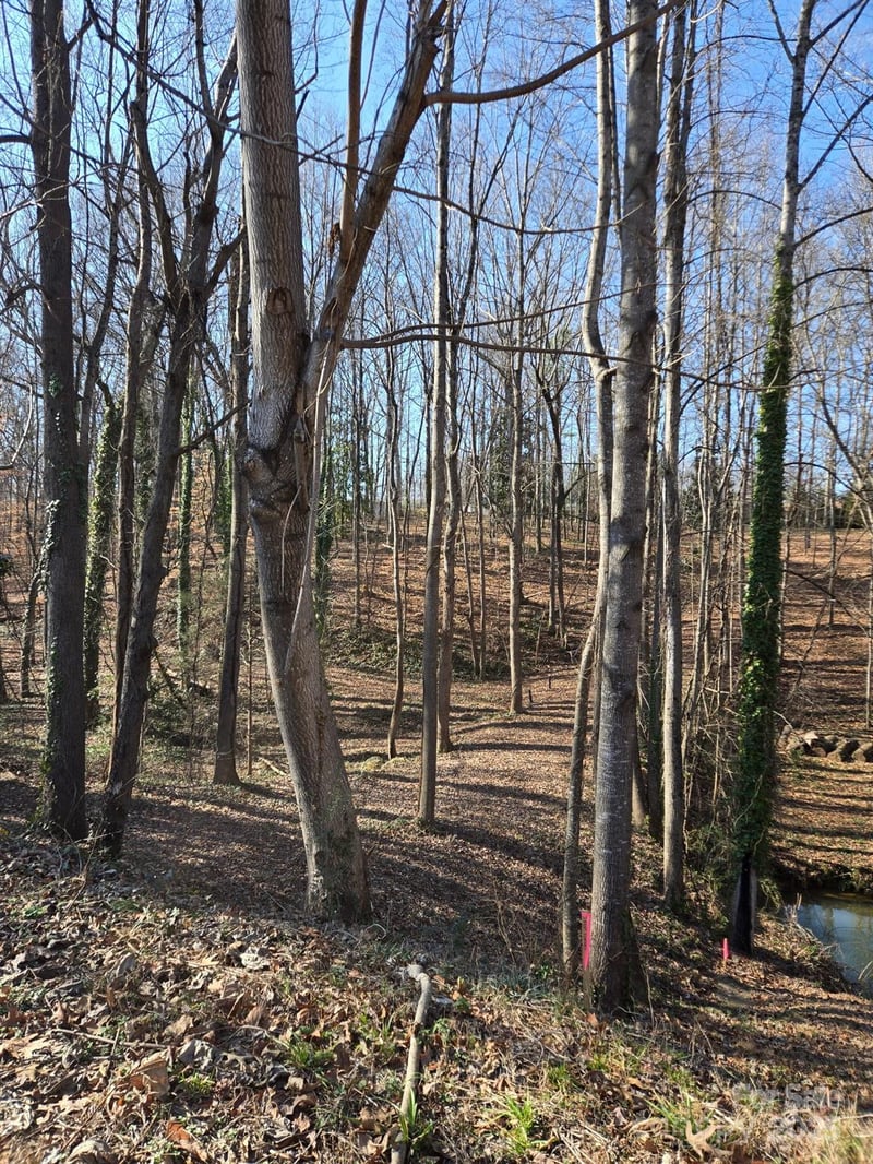000 Spring Valley Ln, Statesville, NC 28677
