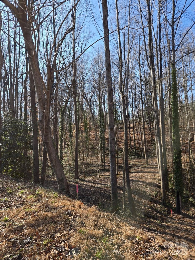 000 Spring Valley Ln, Statesville, NC 28677
