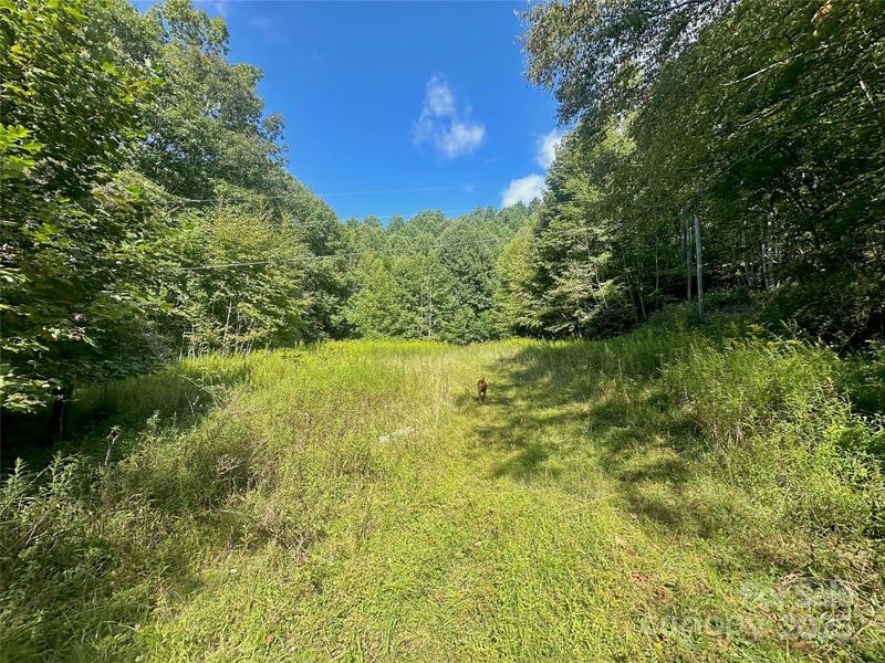 TBD Old Anderson Quarry Rd, Vilas, NC 28692