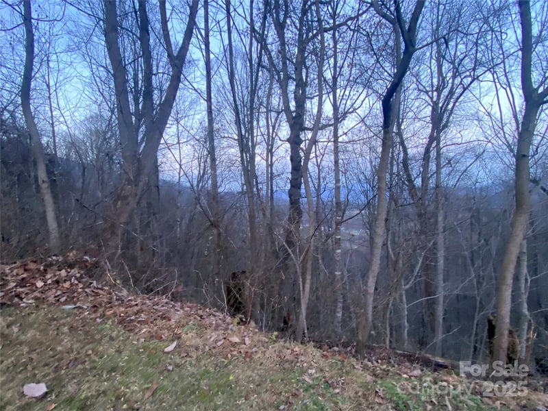 Asa Trl, Waynesville, NC 28785