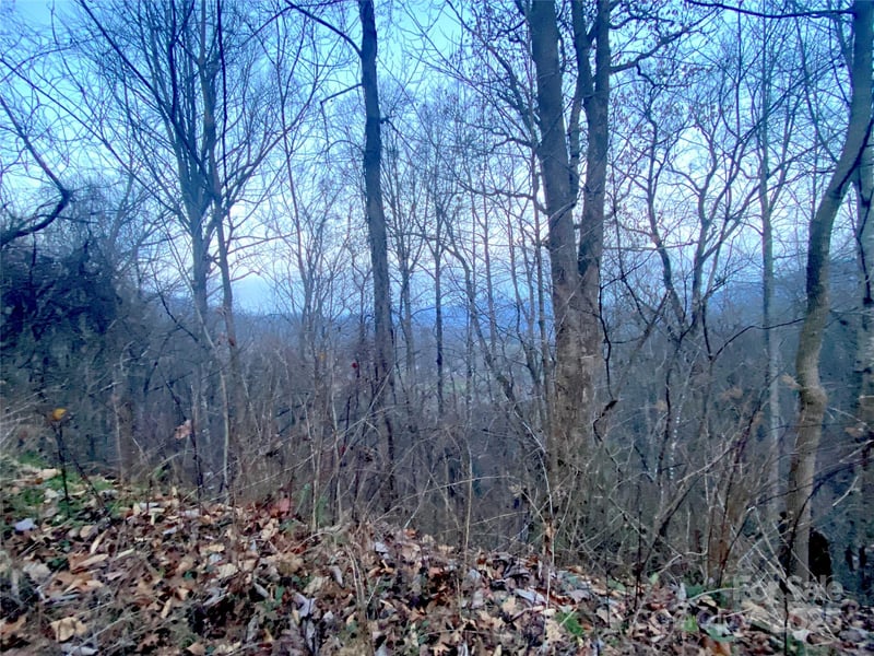 Asa Trl, Waynesville, NC 28785