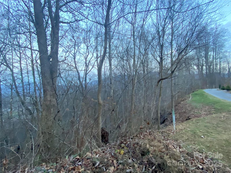 Asa Trl, Waynesville, NC 28785