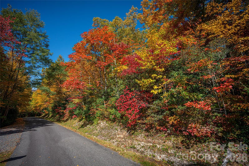 205 Chickadee Ln #205, Maggie Valley, NC 28751
