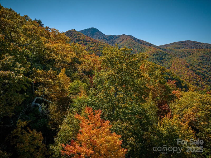 205 Chickadee Ln #205, Maggie Valley, NC 28751