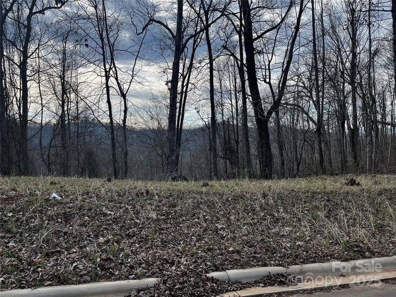 105 Woodland Meadows Dr #Tract A & B, Asheville, NC 28803