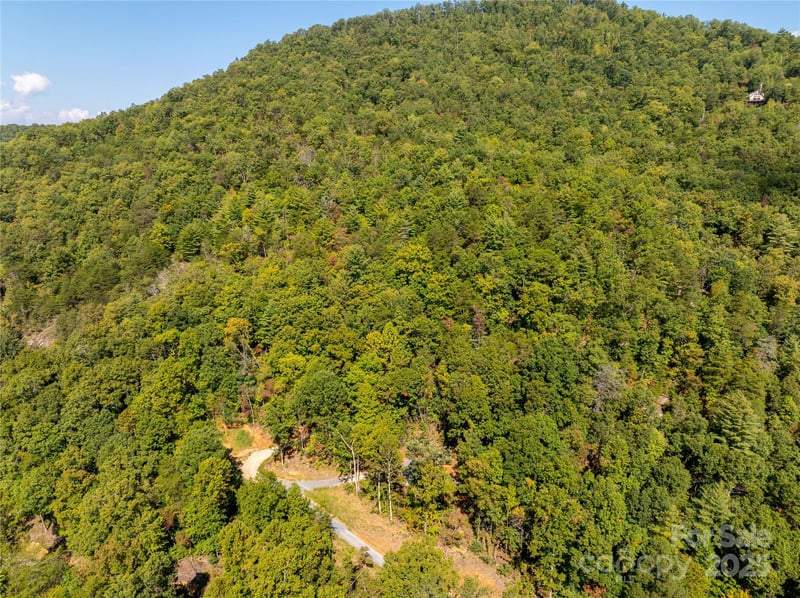 8888 Cedar Creek Farm Rd, Tuckasegee, NC 28783