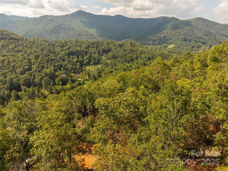 8888 Cedar Creek Farm Rd, Tuckasegee, NC 28783