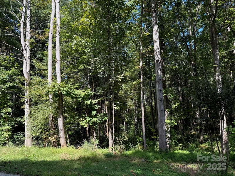 302 Didio Cir, Mooresville, NC 28115